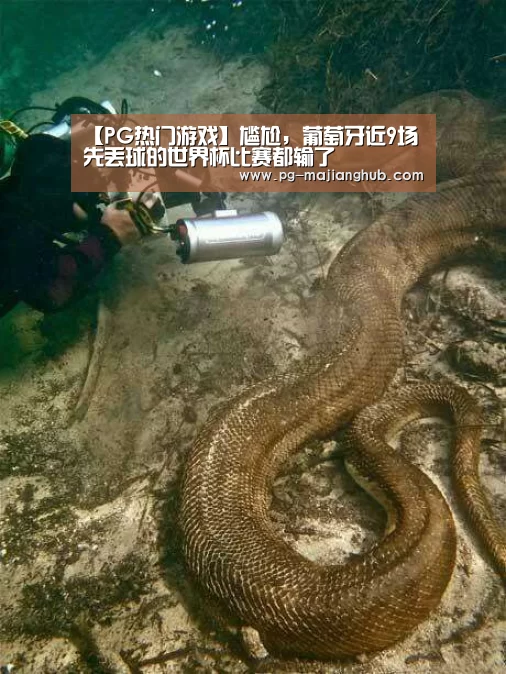 【PG热门游戏】尴尬,葡萄牙近9场先丢球的世界杯比赛都输了(图2) PG麻将平台